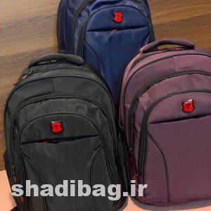 کوله برزنتی طرح pierre gardien